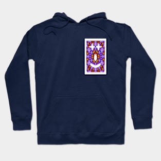 Eddga 003 Hoodie